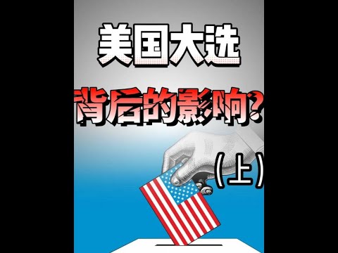 美国再次伟大还是绝不回头？#美国大选 #王大沁