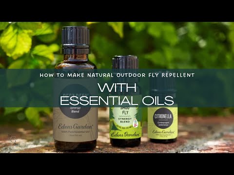 How to Make Natural Outdoor Fly Repellent with Essential Oils | The Guardians Choice