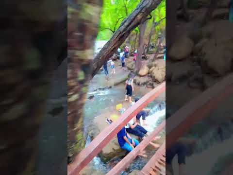 Pachmarhi bee fall #viral #shorts #views