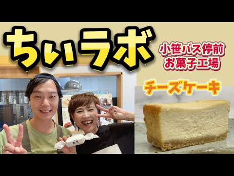 チーズケーキ／ちぃラボ【グラサン九州】