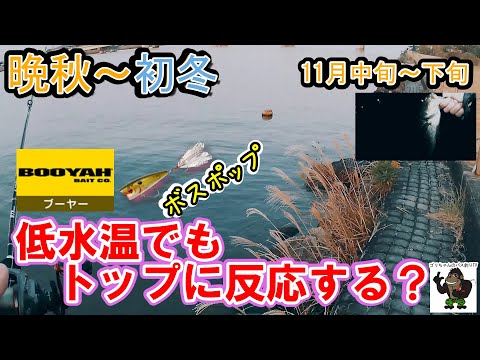 【バス釣り】霞ヶ浦_常陸利根川_11月中旬～11月下旬_・・2021年11月13日～23日