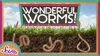 Worms Are Wonderful | Amazing Animals | Backyard Science | SciShow Kids