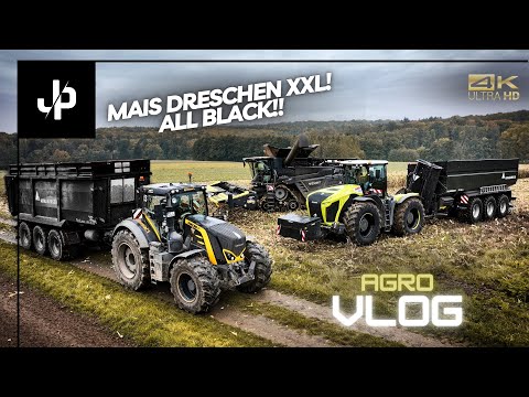 Körnermais XXL bei M&H Agrar! Fendt und Xerion im Einsatz! || JP Agrar