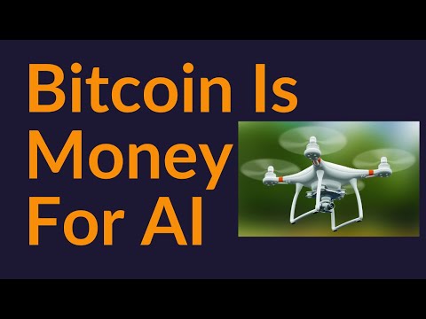 Bitcoin Is Money For The AI