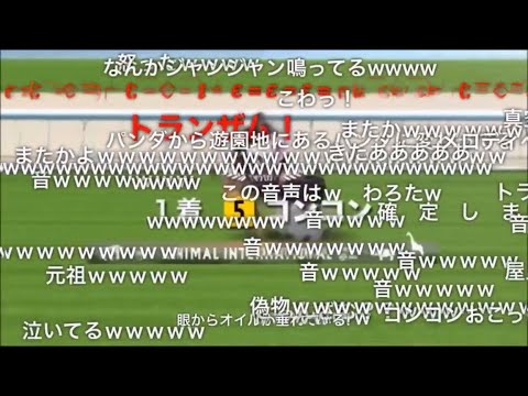 【コメ付き】JAPAN WORLD CUP 3 〜第4レースー2〜 (60FPS)