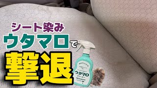 誰でもできる！シートシミにはこのアイテムで撃退【ウタマロクリーナー】