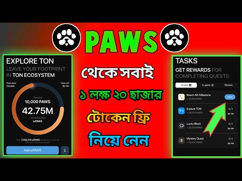 Paws explore ton ecosystem | paws mystery quest today | paws mystery quest | paws airdrop new task