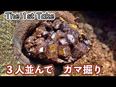 ３人並んでガマ掘り　柘榴石の大ガマ  ファーストテイク 【鉱物採集】