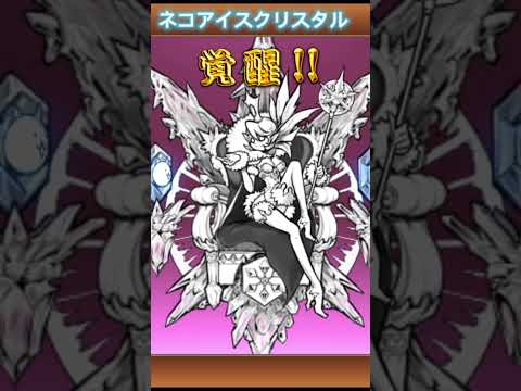 【にゃんこ大戦争】超激レアキャラクター マタタビ進化〈ネコアイスクリスタル〉