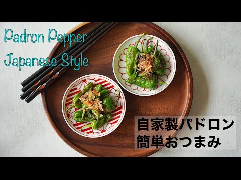 自家製パドロン簡単おつまみ Homegrown padron pepper Japanese style