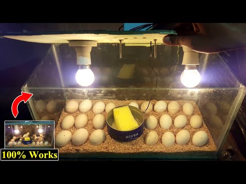 BEST INCUBATOR FOR CHICKEN EGGS