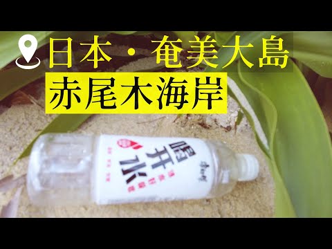 無人海灘驚現「喝開水」！？日本鹿兒島縣奄美大島跨年之旅