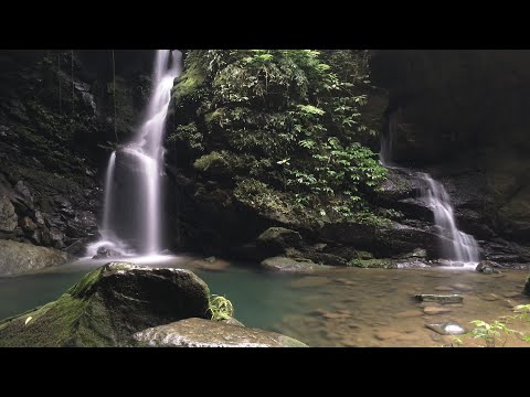 Flow - Mattia Cupelli丨桃園復興丨2017恩愛農場櫻花季丨中巴陵櫻木花道丨三民蝙蝠洞