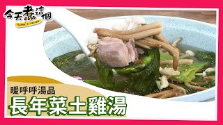 【每日一湯】長年菜土雞湯 年夜飯必備！｜今天煮這個