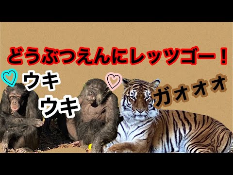 日立市かみね動物園に行ってきたよ〜☆