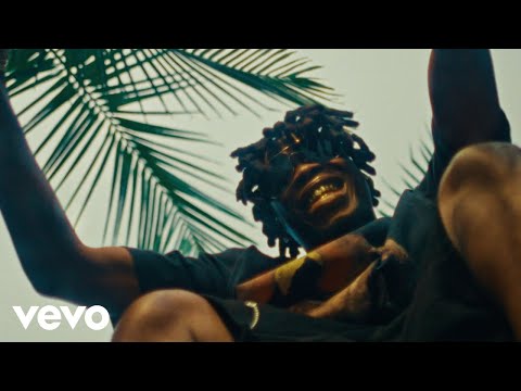 Fireboy DML - wande's bop (Official Visualizer) ft. SPINALL