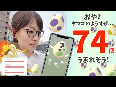 おや？たまごが74個うまれそう！ヒノアラシのコミュニティデイで色違いメラルバ産まれてほしいと思ったらふらふらふらふら【ポケモンGO】