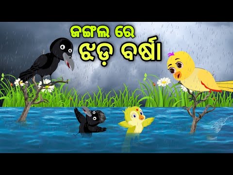 ଜଙ୍ଗଲ ରେ ଝଡ଼ ବର୍ଷା | Jangala Re Jhada Barsha | Tiki Chadhei | Odia Gapa | Chadhei Gapa