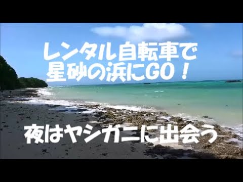 レンタル自転車で星砂の浜にＧＯ！  夜はヤシガニに出会う＃竹富島＃石垣島