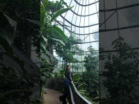 Así es el jardín botánico de Bogotá #travel