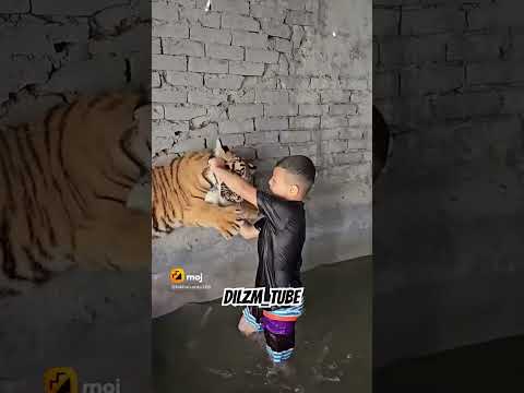 Kidz play Bengali Tigers 🐯 #trending #bengali #tiger