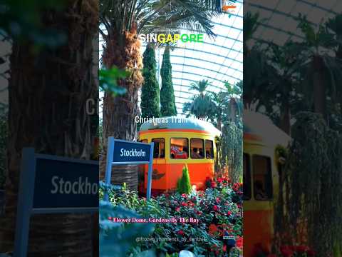 Christmas Train Show 2024 at Gardens by the Bay! 
| by @frozen_moments_by_senthil