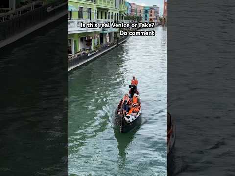 Have you been to Venice? #venicecarnival #veniceflorida #boatinglake #travelvlog #ytviral #ytshorts