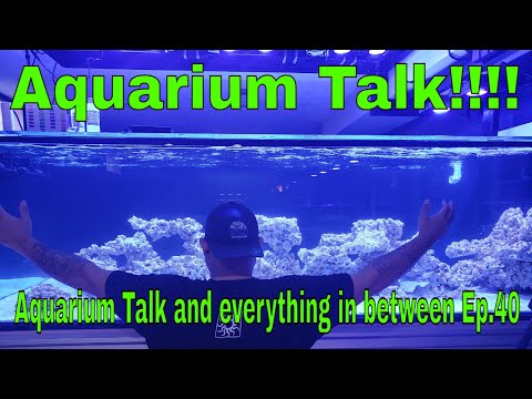 Aquarium Talk!!!!