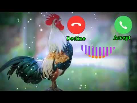 Viral Ringtone New Ringtone 2022 Attitude Ringtone Bgm Ringtones English Ringtone Bad Boy Ringtone.