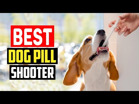 ✅Top 5 Best Dog Pill Shooter in 2024