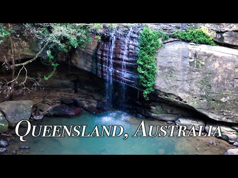 Moving to QUEENSLAND, AUSTRALIA?! Buderim Falls & Milky Way Chasing in MALENY オーストラリアで撮る天の川