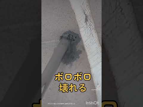 ⚠️危険!?玄関に謎の巣?