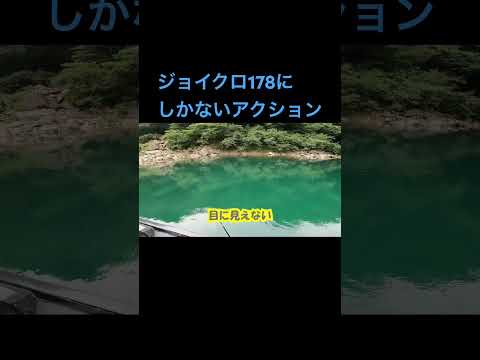 ジョイクロの違い #fishingdaily #釣り #バス釣り #アウトドア #ガンクラフト #fishing #ジョイクロ #ビッグベイト #bigbite #リザーバー #としチャンネル