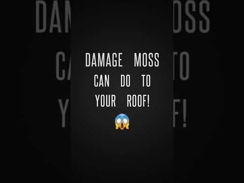 DID YOU KNOW? #mossdamage #dampprevention #roofdamage #guttercleaning