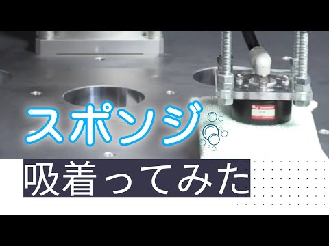 【吸着ってみた】スポンジ【コンバム】