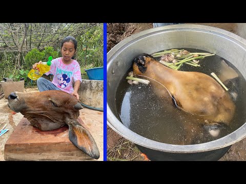 Patient girl in countryside cook food for grandma - Cooking with Sreypich