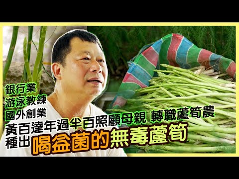 【台南西港】蘆筍農黃百達 喝益菌的無毒蘆筍|用心的產業｜430｜#美麗心台灣