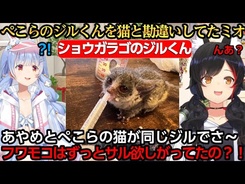 ぺこーらのジルくんを猫と勘違いしてたミオしゃｗ【大神ミオ/白上フブキ/百鬼あやめ/兎田ぺこら/フワモコ】