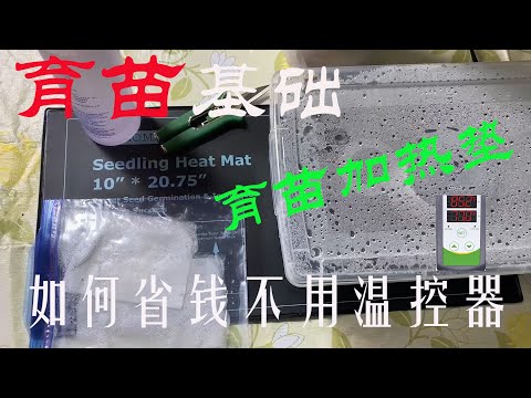 【渔耕笔记】育苗基础 |正确使用育苗加热垫 怎样省钱不加温控器