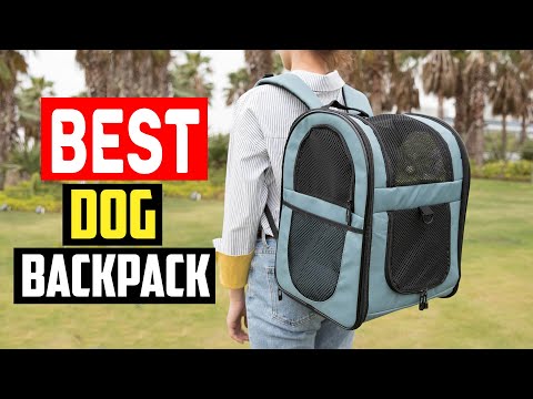 ✅Top 5 Best Dog Backpack Carriers in 2024