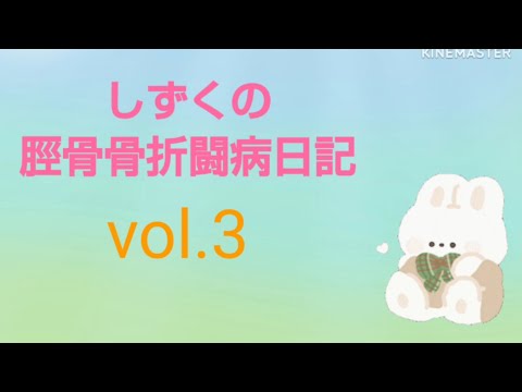 しずくの脛骨骨折闘病日記 vol.3 退院まであと10日くらいになりました