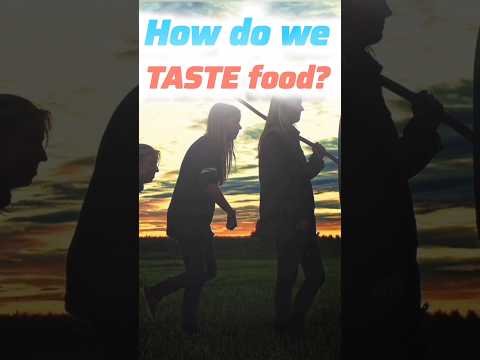 How Do We Taste Food? #facts