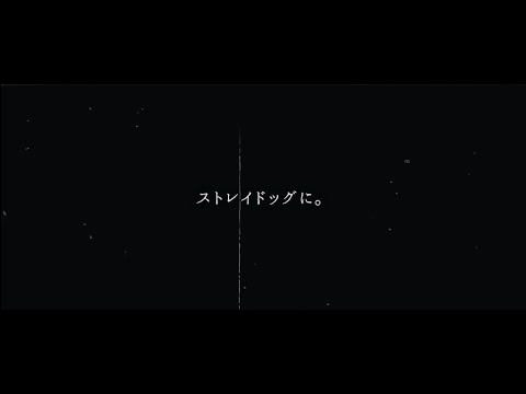 【MAD】わたしの線香【文スト】