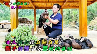 女人深山裡自給自足，親手耕種享受豐收的喜悅《她的田園生活》第六季