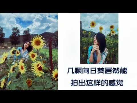 向日葵花与美女模特相互映照，人像取景思路详解 #手机拍照技巧 #拍照 #摄影