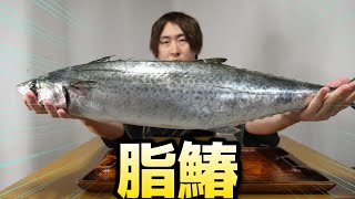 This Spanish mackerel. It's too good to be true. 10,000 yen is cheap.