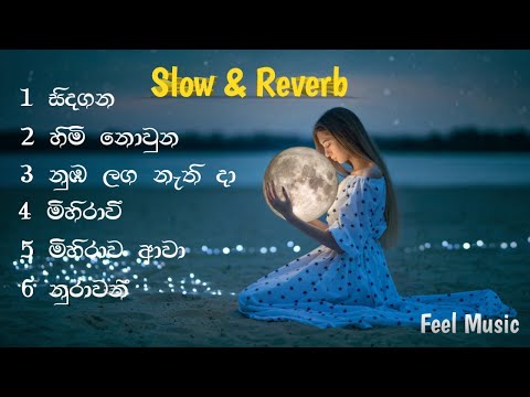 Slowed + Reverb Songs Playlist Sinhala | Feel Music | Episode 01 #Sinhala slow songs #feelmusic