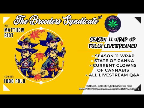 S11 Wrap Up - Current State Of Canna - MEET CHUCKY POLLENS - LIVESTREAM Q&A