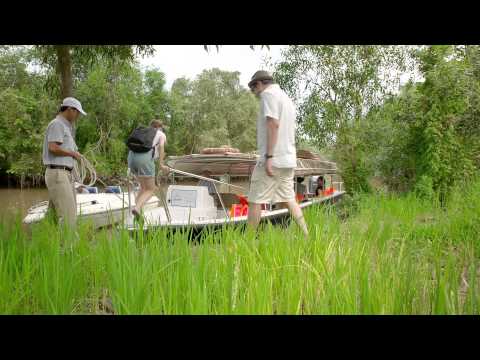 LES RIVES - Mekong Delta luxury speedboat ride - Authentic river experience