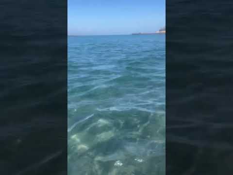 🏝️ Clear water in Playa de Fanabe 🏝️ Tenerife #costaadeje #playafanabe #tenerife